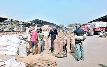 धान परिवहन में लापरवाही, नान ने ठेकेदार पर लगाया 32 लाख से अधिक जुर्माना