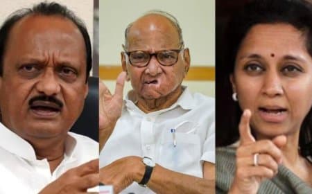 महाराष्ट्र... निकाय में कुर्सी के लिए फिर चाचा-भतीजा हो गए एक 