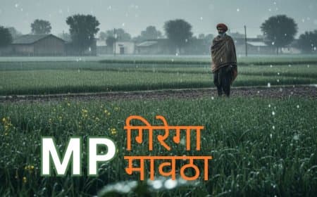 MP मौसम अपडेट: 15 जनवरी से सक्रिय होगा स्ट्रॉन्ग पश्चिमी विक्षोभ,  कई जिलों में 'मावठा' के आसार