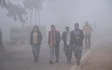 मध्यप्रदेश: सर्द हवाओं ने बढ़ाई सर्दी... छाया कोहरा...कल से फिर बारिश 