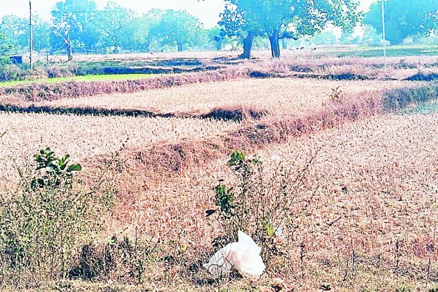 सिर्फ चार घंटे बिजली, अंधेरे में जीने को मजबूर ग्रामीण, खेती-पढ़ाई बुरी तरह प्रभावित