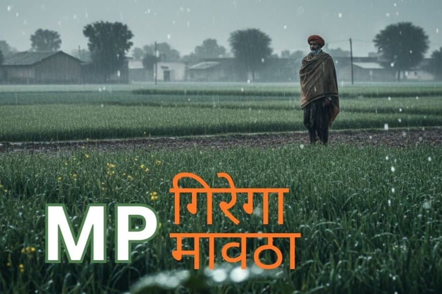 MP मौसम अपडेट: 15 जनवरी से सक्रिय होगा स्ट्रॉन्ग पश्चिमी विक्षोभ,  कई जिलों में 'मावठा' के आसार