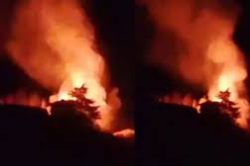 सिरमौर अग्निकांड: हिमाचल में सिलेंडर ब्लास्ट से एक ही परिवार के 6 लोगों की मौत, शॉर्ट सर्किट बना आग का कारण