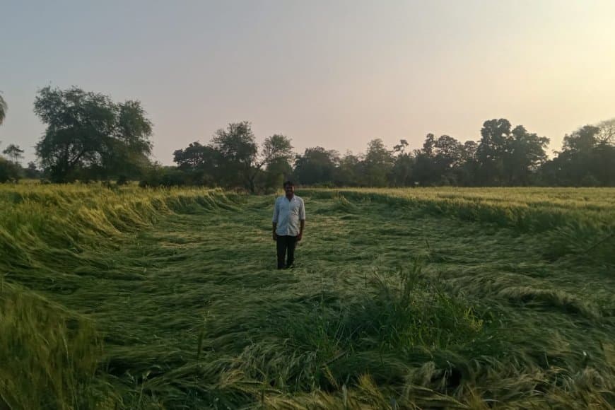 मध्यप्रदेश: भोपाल में कोहरा... प्रदेश में बारिश-ओलावृष्टि से फसल चौपट 