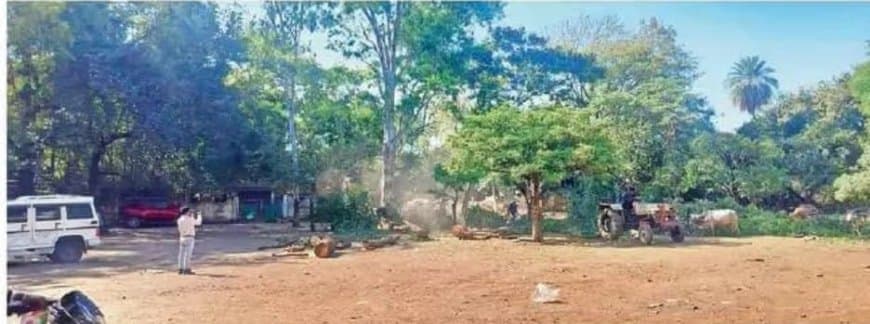 5 करोड़ का शॉपिंग कॉम्प्लेक्स और नया जनपद भवन निर्माण के लिए 50 साल पुराने पेड़ों पर चली आरी