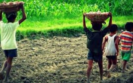 बंधुआ मजदूरी: आधुनिक सभ्यता के माथे पर कलंक और मुक्ति का संघर्ष