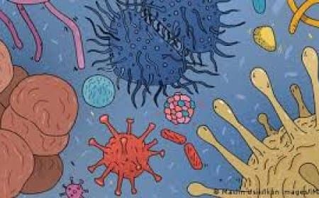 भारत: हर दो एंटीबायोटिक दवा का इस्तेमाल दूध-मांस और अंडा का उत्पादन बढ़ाने में हो रहा 