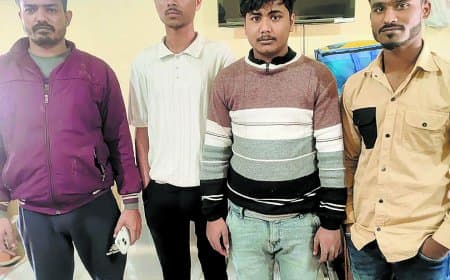 पशु तस्करी: कंटेनर और ट्रक में क्रूरतापूर्वक लोड मिले 96 मवेशी