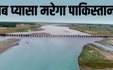 भारत का एक और जल प्रहार... बूंद-बूंद पानी के लिए तरसेगा पाकिस्तान 