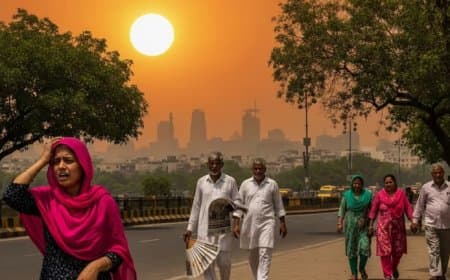 मध्यप्रदेश: सात जिलों में होगी बारिश... अब फरवरी में ही गर्मी का ‘मार्च’