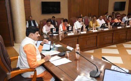 कैबिनेट का फैसला: उड़द पर 600 रुपए क्विंटल बोनस देगी मोहन सरकार