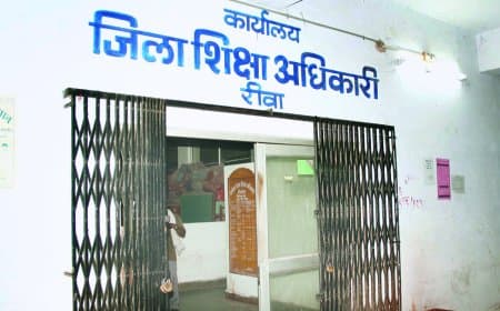 घोटालेबाजों पर अफसर मेहरबान, स्कूल शिक्षा विभाग की फाइलें वर्षों से दबी, कार्रवाई शून्य