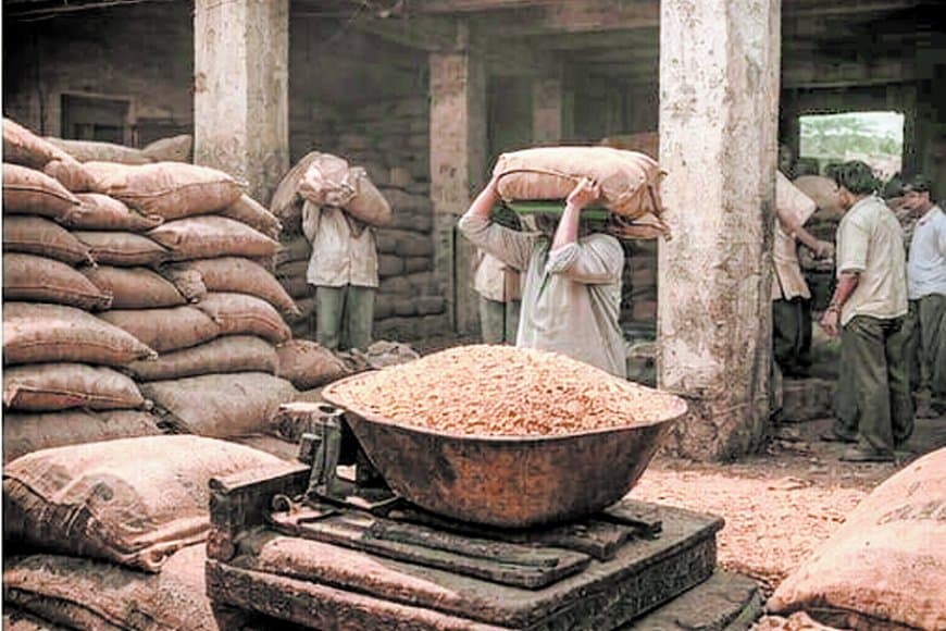 सतना-मैहर में राशन संकट गहराया, 823 में से 623 दुकानें बंद, गरीब परेशान