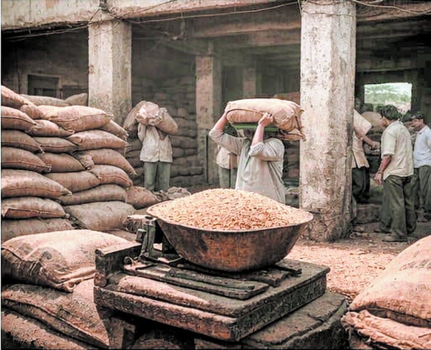 सतना-मैहर में राशन संकट गहराया, 823 में से 623 दुकानें बंद, गरीब परेशान