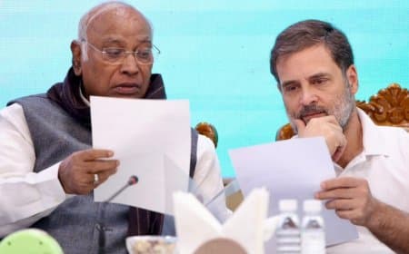 राज्यसभा: कांग्रेस ने सिंघवी और फूलो देवी समेत छह दिग्गजों पर लगाया दांव 