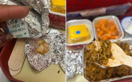 लखनऊ: एयर इंडिया की फ्लाइट में न्यायाधीश के भोजन में मिला फंगस