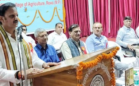 खाद और कीटनाशकों के उपयोग से धरती माता बीमार हो गई है: उप मुख्यमंत्री