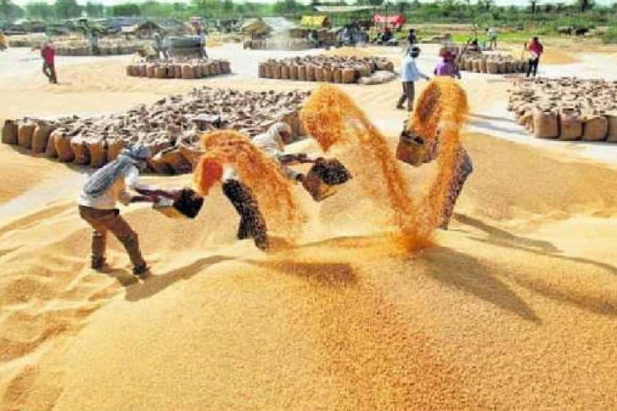 मध्यप्रदेश: प्रदेश के चार संभागों में 1 अप्रैल  शुरू होगी गेहूं की खरीदी