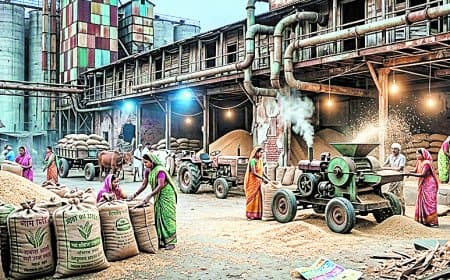 गोदामों में 500 एमटी चावल की गुणवत्ता पर जांच, अनसेफ होने का संदेह