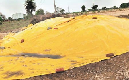 तेज हवा और बारिश से राहत मिली, किसानों की फसल को भारी नुकसान