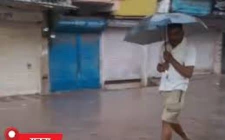 MP Weather Update: मध्य प्रदेश के 45 जिलों में आंधी-बारिश का अलर्ट, ओले गिरने की चेतावनी और बिजली से 4 मौतें