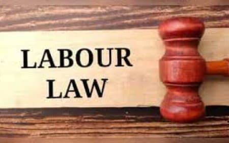 न्यू लेबर कोड 2026: अब आपकी बची हुई छुट्टियां नहीं होंगी बेकार, साल के अंत में मिलेगा नकद पैसा!