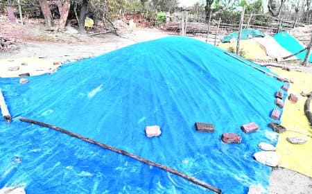 एमएसपी पर खरीदी में देरी, किसान औने पौने दाम में बेचने को मजबूर