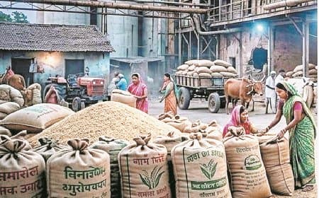 67% नियम बनाम 32% उत्पादन, धान मिलिंग नीति पर संकट और सवाल खड़े