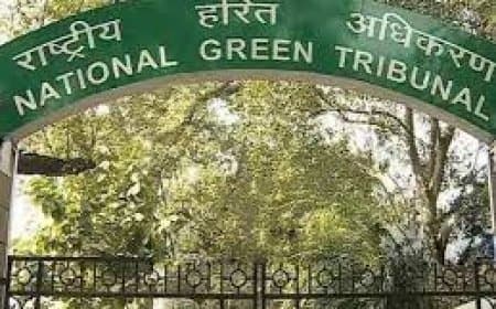 NGT का भोपाल प्रशासन को आदेश: पेड़ों से हटाएं कंक्रीट और लहारपुर डैम का सीवेज रोकें