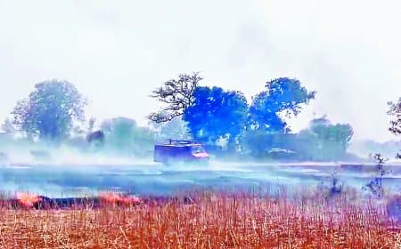 नरवाई की आग बनी कहर, घर जले मवेशी जिंदा झुलसे आज