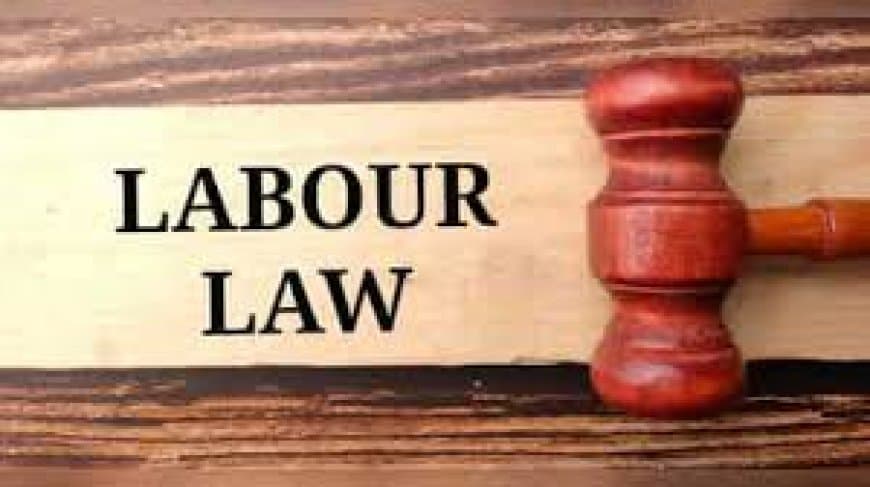 न्यू लेबर कोड 2026: अब आपकी बची हुई छुट्टियां नहीं होंगी बेकार, साल के अंत में मिलेगा नकद पैसा!