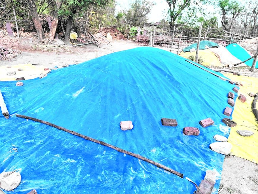 एमएसपी पर खरीदी में देरी, किसान औने पौने दाम में बेचने को मजबूर