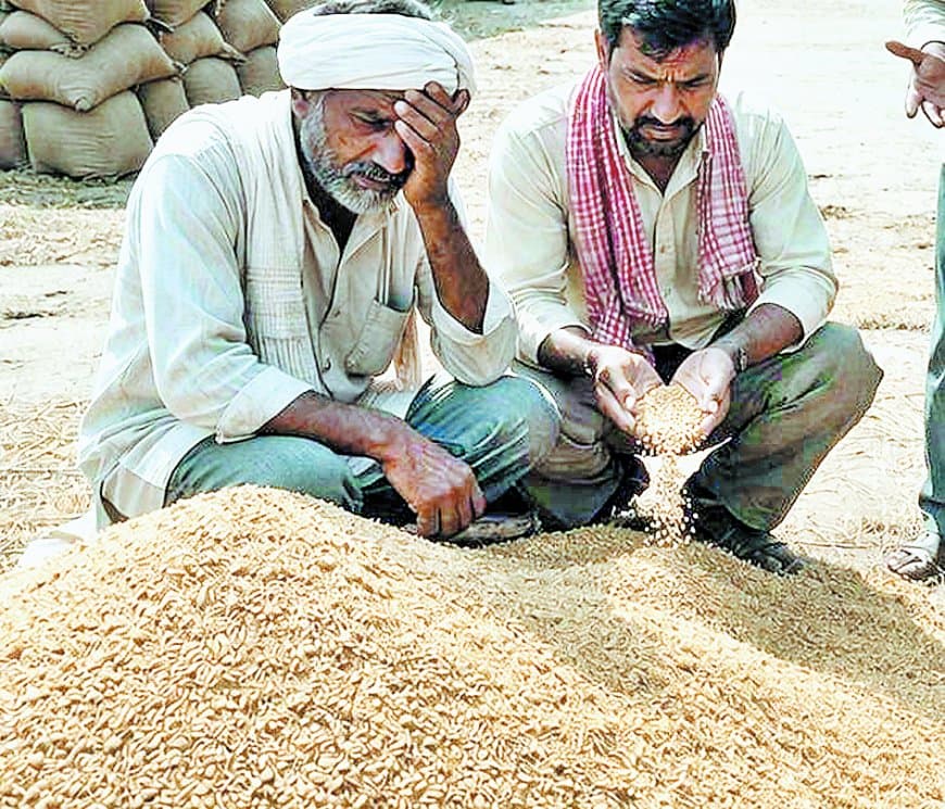 कागजों में 77 केंद्र, ऑनलाइन केवल 28, गेहूं खरीदी व्यवस्था पूरी तरह फेल