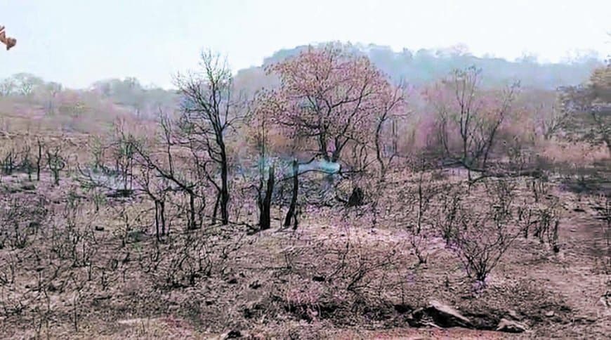 छुहिया घाटी में अग्नि तांडव : बेकाबू हुई लपटें, पांच किमी के दायरे में सब स्वाहा