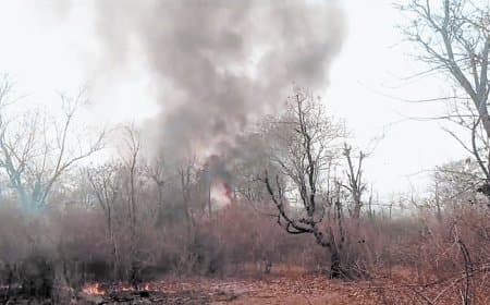 सतना-मैहर में दावानल कहर, हर दिन दो बीट में आग अलार्म बजा