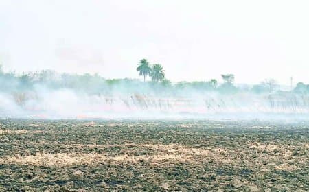सैटेलाइट से पकड़े गए नरवाई जलाने वाले किसान, छह को कोर्ट में पेशी