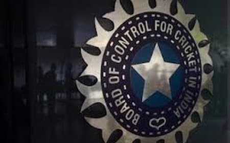 आरटीआई के दायरे में नहीं आएगा बीसीसीआई, सीआईसी ने माना निजी संस्था