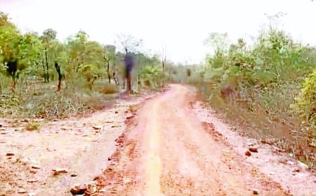40 लाख खर्च फिर भी बदहाल सड़क, आदिवासी गांवों की मुश्किलें आज भी बरकरार बनीं