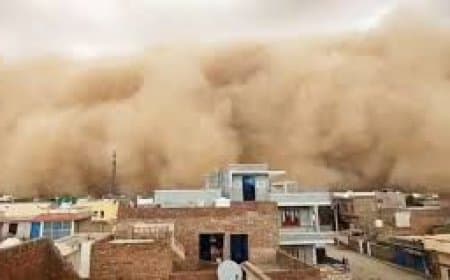 Rajasthan Dust Storm: राजस्थान के 5 जिलों में आया भीषण रेतीला तूफान, दिन में छाया अंधेरा, पेड़ और पोल उखड़े