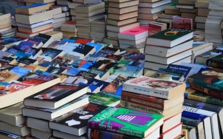 मध्यप्रदेश: राष्ट्रीय शिक्षा नीति के तहत भारतीय भाषाओं में लिखी जाएंगी ढाई लाख किताब...6000 करोड़ होंगे खर्च