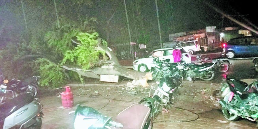 बारिश में भीगा तीन लाख एमटी गेहूं, लापरवाही से उजागर हुई सरकारी तैयारी