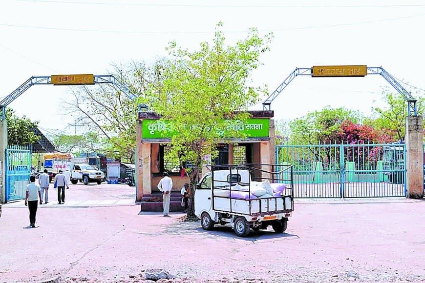 सतना मंडी में एमएसपी से ज्यादा दाम पर बिका गेहूं, किसानों को फायदा
