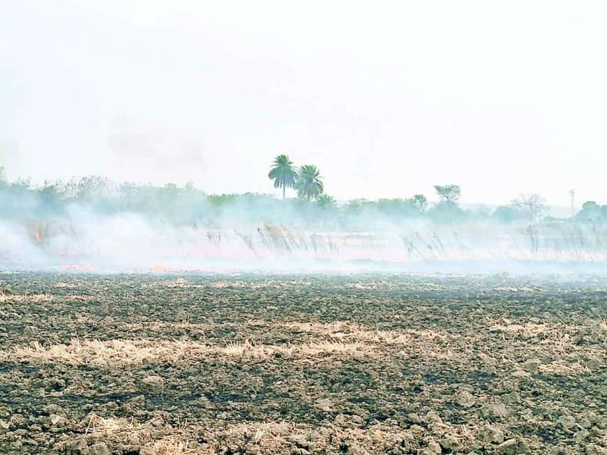 रीवा संभाग में नरवाई जलाने के रिकॉर्ड केस, हवा खराब, प्रशासनिक सख्ती नाकाम साबित