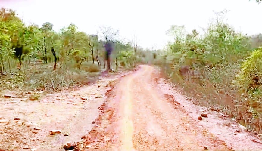 40 लाख खर्च फिर भी बदहाल सड़क, आदिवासी गांवों की मुश्किलें आज भी बरकरार बनीं