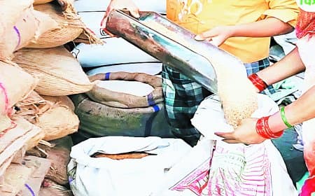 सतना में 17 हजार राशन कार्डधारक खाद्यान्न उठाव से रहे वंचित