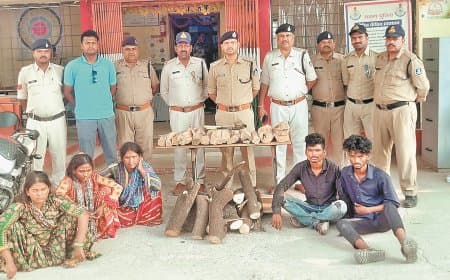 चंदन तस्करी गिरोह का भंडाफोड़, तीन महिलाओं सहित छह गिरफ्तार आरोपी