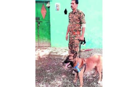 डॉग स्क्वाड की मदद से वन्यजीव शिकार मामले में अहम सुराग मिले