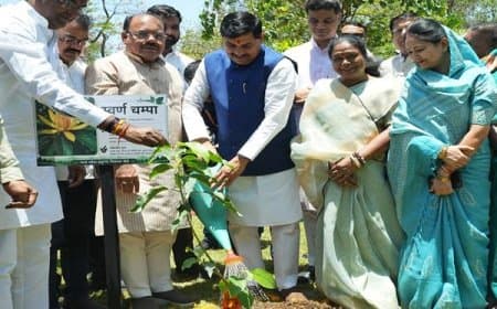 मध्यप्रदेश: सीएम का आह्वान- स्वच्छ और हरित पर्यावरण के लिए पेड़ लगाएं और प्रकृति के अनुकूल अपनाएं जीवन शैली 