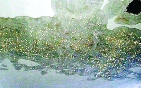 संजय गांधी अस्पताल का बेसमेंट जलमग्न, जर्जर छत से बढ़ा खतरा
