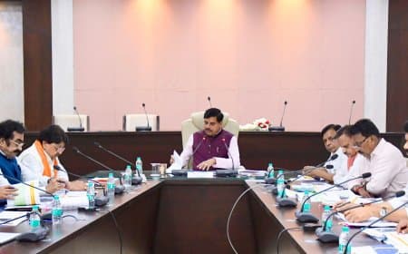 मध्यप्रदेश में कपास पर सिर्फ 50 पैसा लगेगा मंडी टैक्स... कैबिनेट का फैसला- बाकी उपज पर बढ़ाया शुल्क